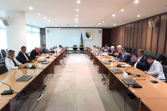 Izaslanstvo Doma naroda razgovarala sa članovima Ad hoc komiteta PS Vijeća Europe za promatranje Općih izbora u BiH
